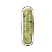 242