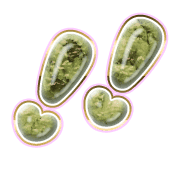 268