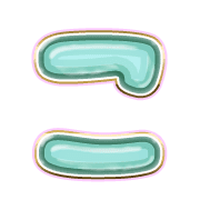 010