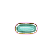 251