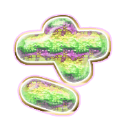 011