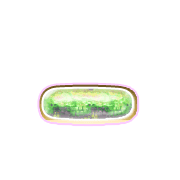 161