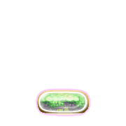 250