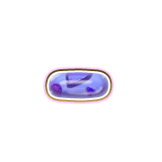 251