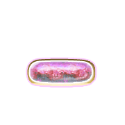 161