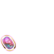 256