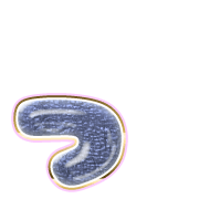 052