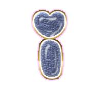 196
