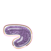 052