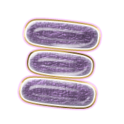 112