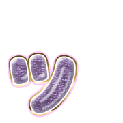 132