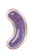 235