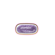 251
