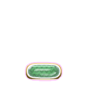 250