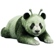 003