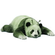 006