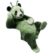 010