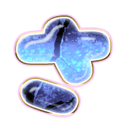 011
