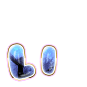 048