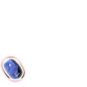 256