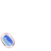 256