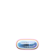 250
