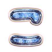 010