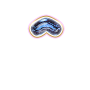 231