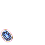 256