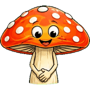 003