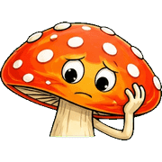 006