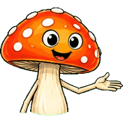 031