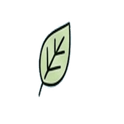 026