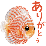 008
