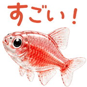 017
