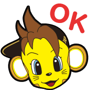 019