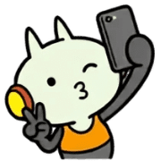 003