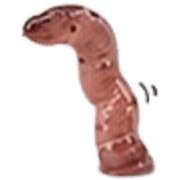 008