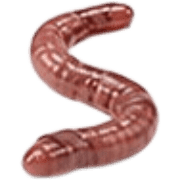 032