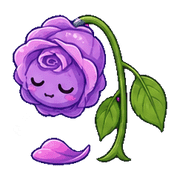 019