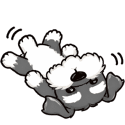 019