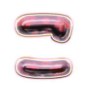 010
