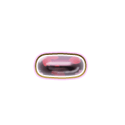 251