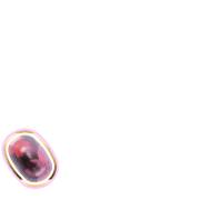 256