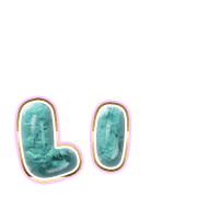 048