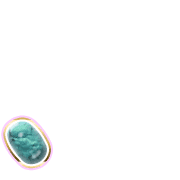 256
