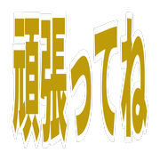 029