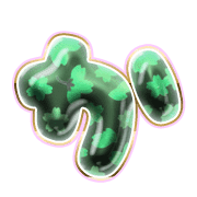 006