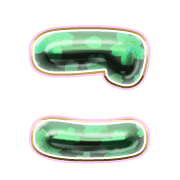 010