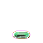 250